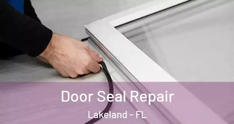 Door Seal Repair Lakeland - FL