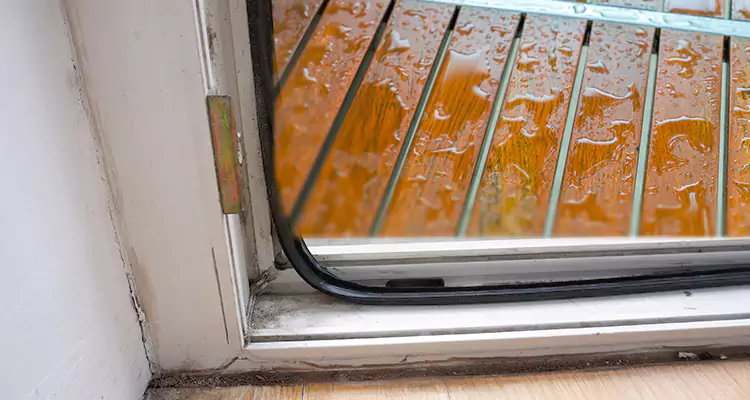 Water Leaking Wooden Patio Doors Repair in Lakeland, FL