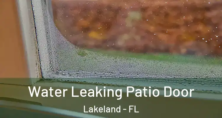 Water Leaking Patio Door Lakeland - FL